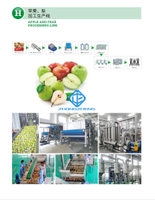 Apple And Pear Processing Line