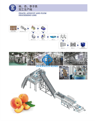 Peach Apricot And Plum Processing Line