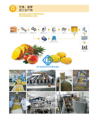Mango And Pineapple Processing Line